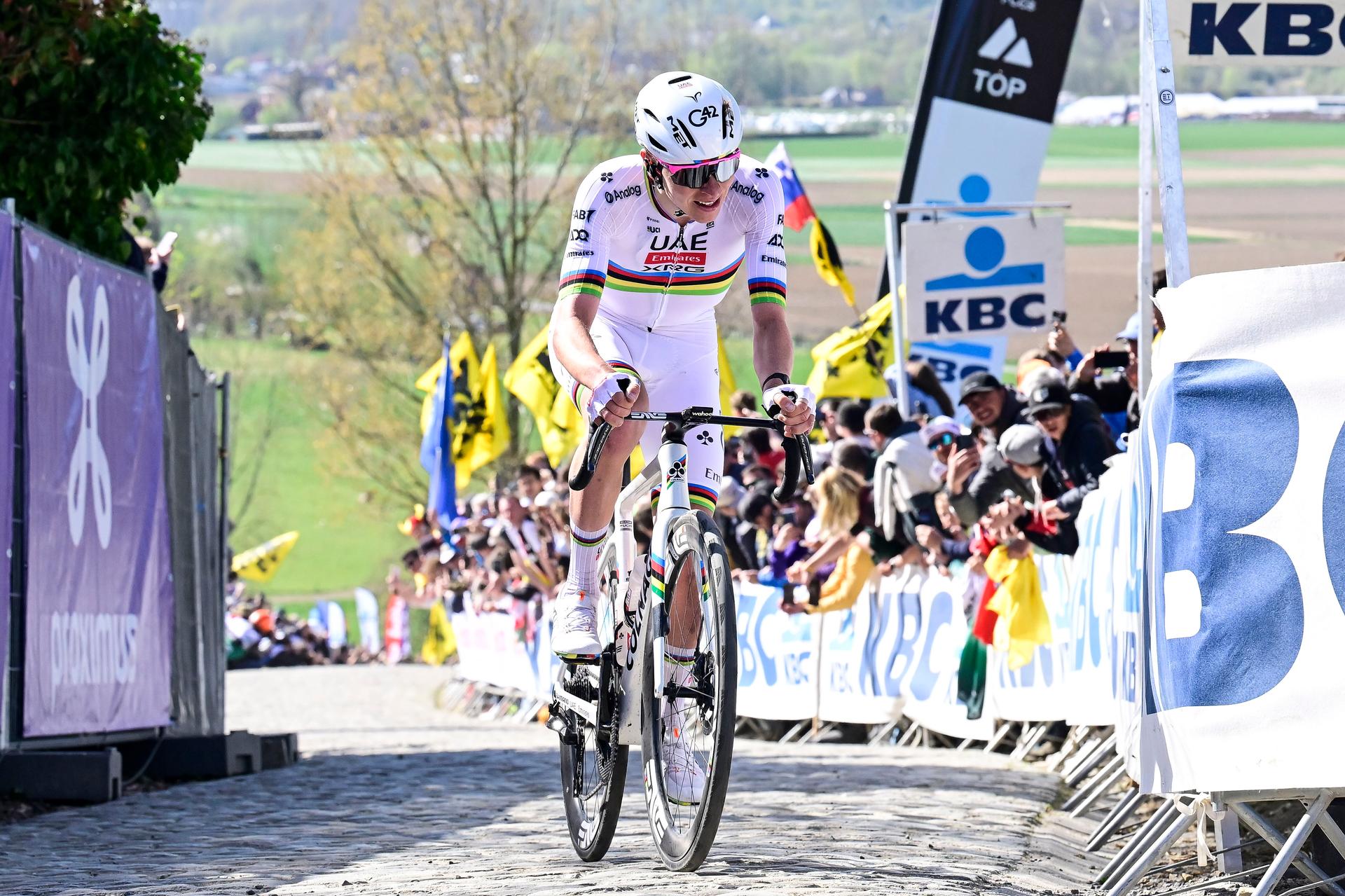 Slovenian Tadej Pogacar of UAE Team Emirates pictured in action on Paterberg during the men's race of the 'Ronde van Vlaanderen/ Tour des Flandres/ Tour of Flanders' one day cycling race, 268,9km from Brugge to Oudenaarde, Sunday 06 April 2025. BELGA PHOTO DIRK WAEM