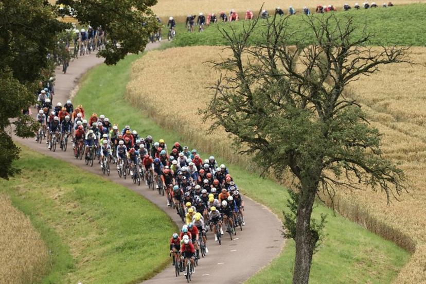 The pack of riders (peloton) cycles past fields during the 8th stage of the 111th edition of the Tour de France cycling race, 183,5 km between Semur-en-Auxois and Colombey-les-deux-Eglises, on July 6, 2024.  Anne-Christine POUJOULAT / AFP