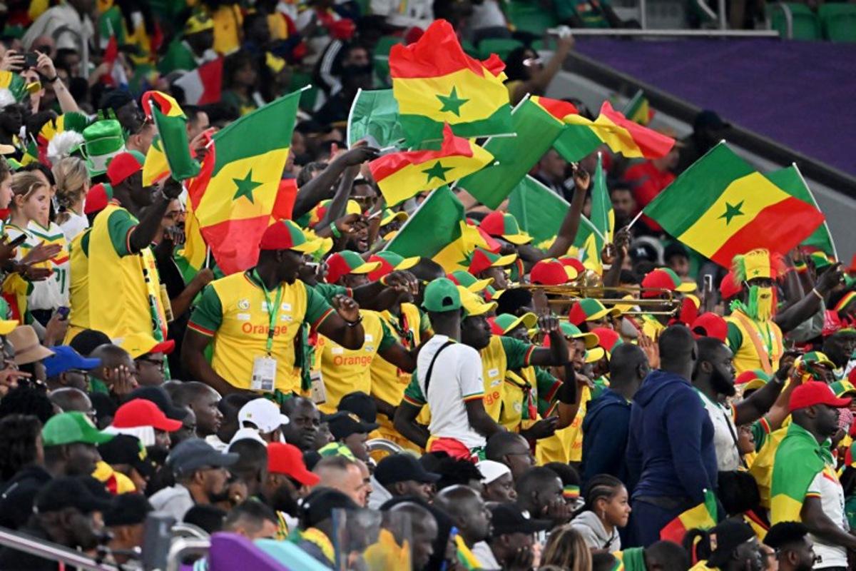 Senegal supporters wave national flags as they cheer during the Qatar 2022 World Cup Group A football match between Senegal and the Netherlands at the Al-Thumama Stadium in Doha on November 21, 2022.  Alberto PIZZOLI / AFP
