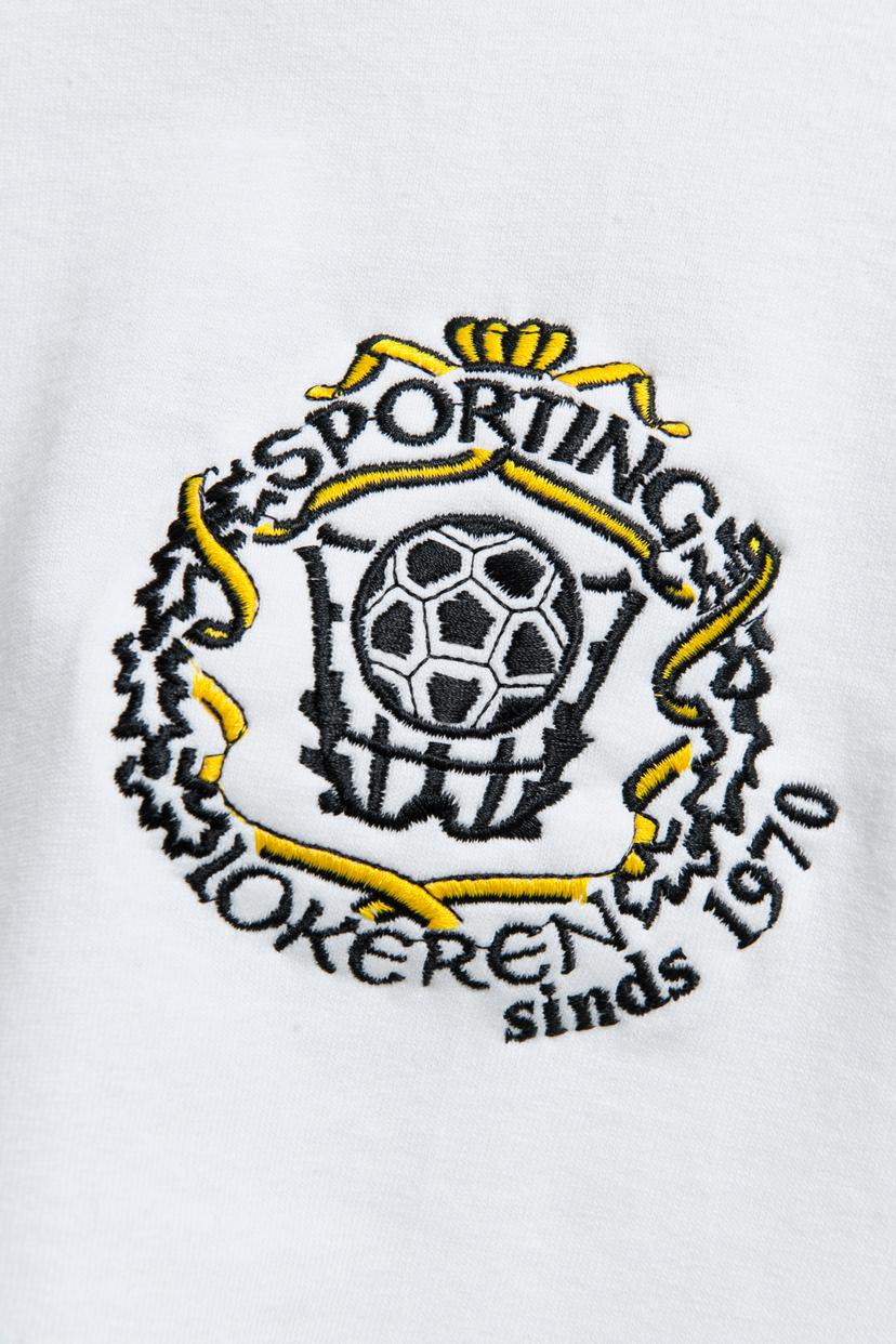 Lokeren, Belgium, 26 April 2011. Sporting Lokeren stadium. Pictures by Jonas Hamers (c) ImageGlobe.