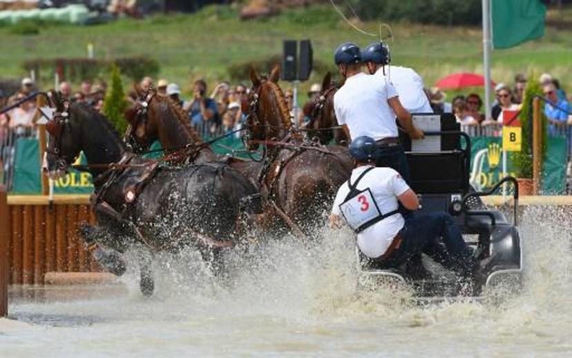Belgian rider Glenn Geerts leads his horses through an obstacle during the Marathon driving competition for four-in-hand drivers during the World Equestrian Festival CHIO in Aachen Germany on July 22, 2017.  PATRIK STOLLARZ / AFP