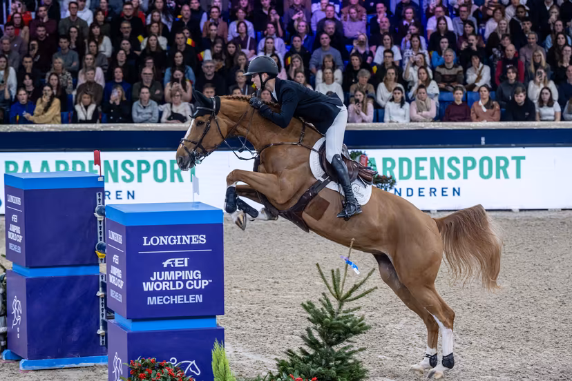 Belgian rider Gilles Thomas with Qalista DN is pictured during the FEI World Cup Jumping competition at the "Vlaanderens Kerstjumping" equestrian event in Mechelen on Tuesday 30 December 2025. BELGA PHOTO JONAS ROOSENS
