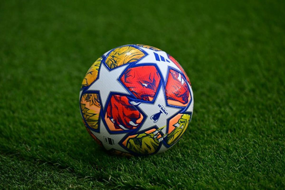 This photograph shows the official match ball on the pitch ahead of the UEFA Champions League semi-final second leg football match between Paris Saint-Germain (PSG) and Borussia Dortmund, at the Parc des Princes stadium in Paris on May 7, 2024. Miguel MEDINA / AFP