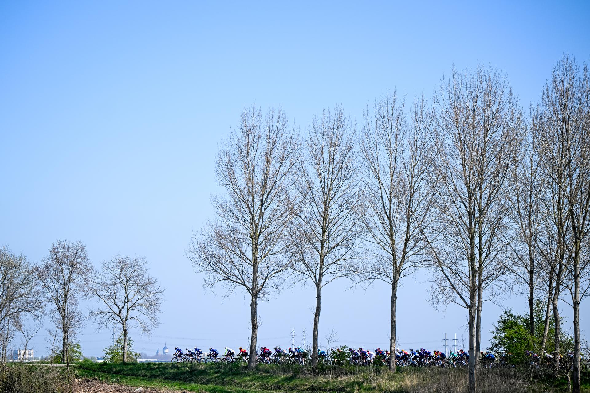 The pack of riders pictured in action during the men's race of the 113th edition of the 'Scheldeprijs' one day cycling event, 202,8 km from Terneuzen, the Netherlands to Schoten, Belgium on Wednesday 09 April 2025. BELGA PHOTO TOM GOYVAERTS