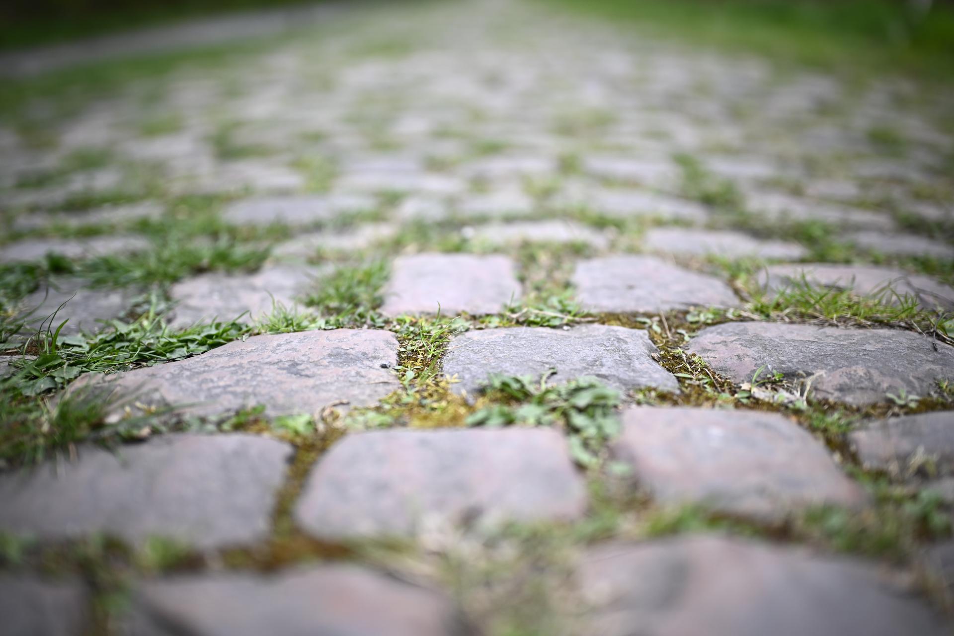 Illustration picture shows the Trouee d'Arenberg - Tranchee de Wallers-Arenberg (Trench of Arenberg - Bos van Wallers-Arenberg) cobbled road, during the reconnaissance of the track ahead of this year's Paris-Roubaix cycling race, Sunday 06 April 2025, around Roubaix, France. The Paris-Roubaix cycling races will take place this weekend, with the women riding on Saturday and the men on Sunday. BELGA PHOTO JASPER JACOBS